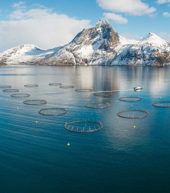 Fish farming in winter landscape